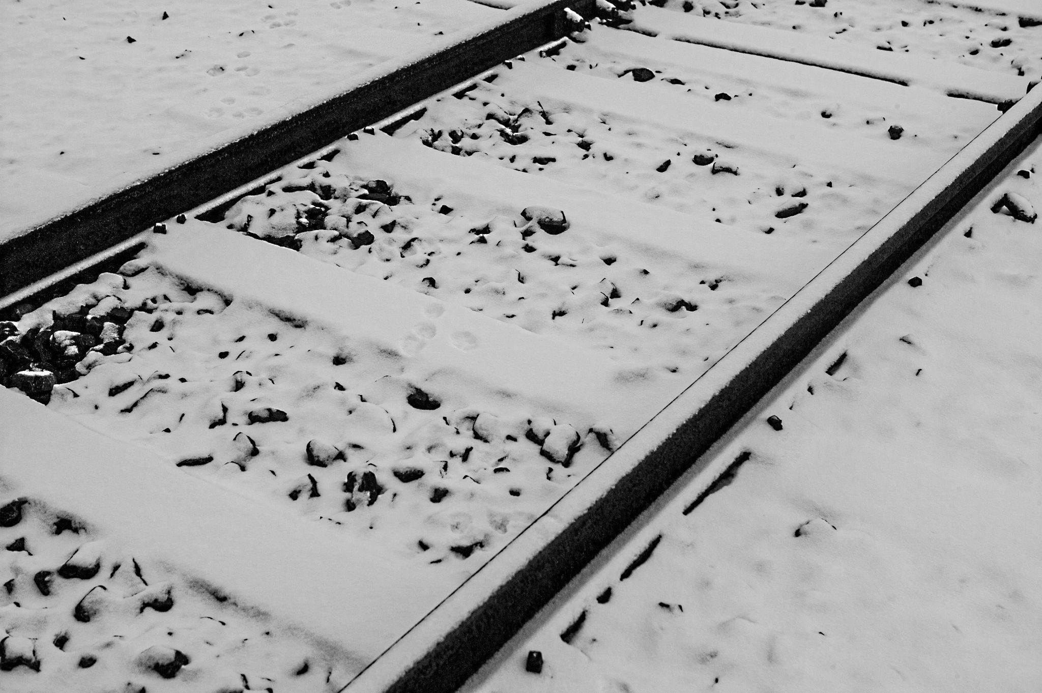  Silent Track 